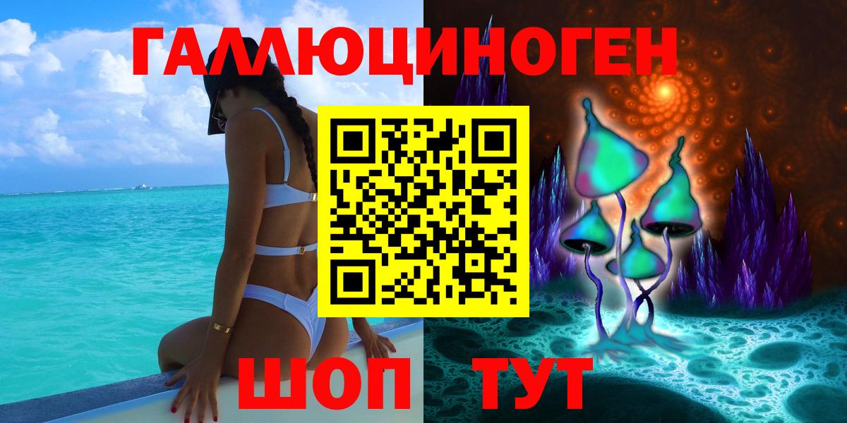 Псилоцибиновые грибы Psilocybe Зеленогорск